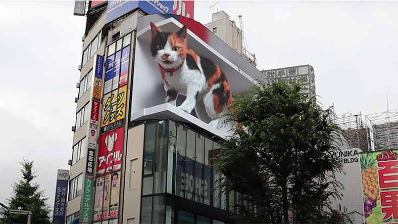 Japonya’da Dev Ekranda 3 Boyutlu Kedi Oynatıldı!