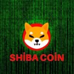 Shiba Inu’dan Esrarengiz Bir Video Paylaşımı!