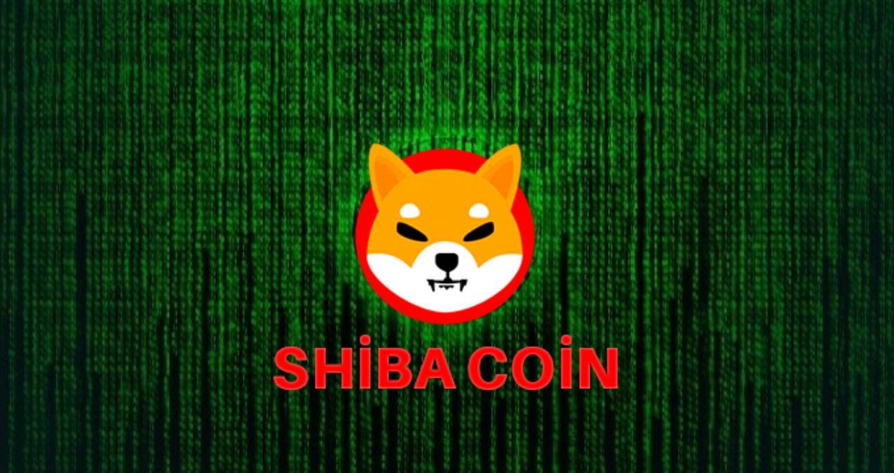 Shiba Inu’dan Esrarengiz Bir Video Paylaşımı!